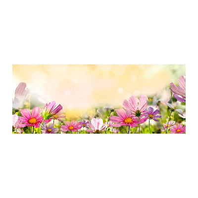 Schilderij op acrylglas Klaprozen