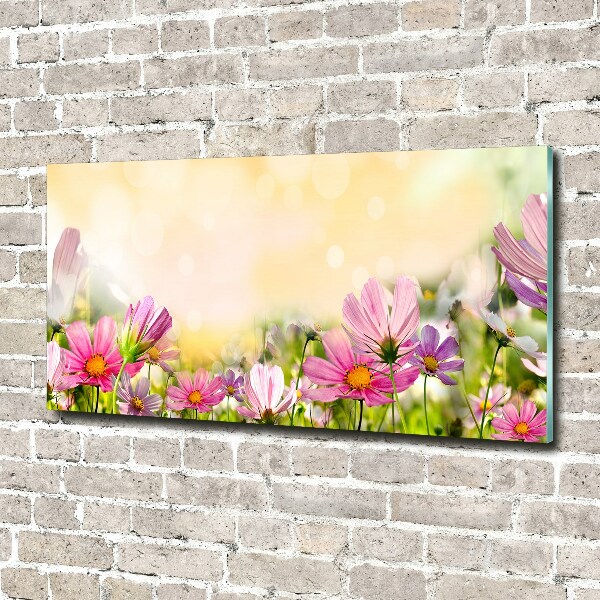 Schilderij op acrylglas Klaprozen