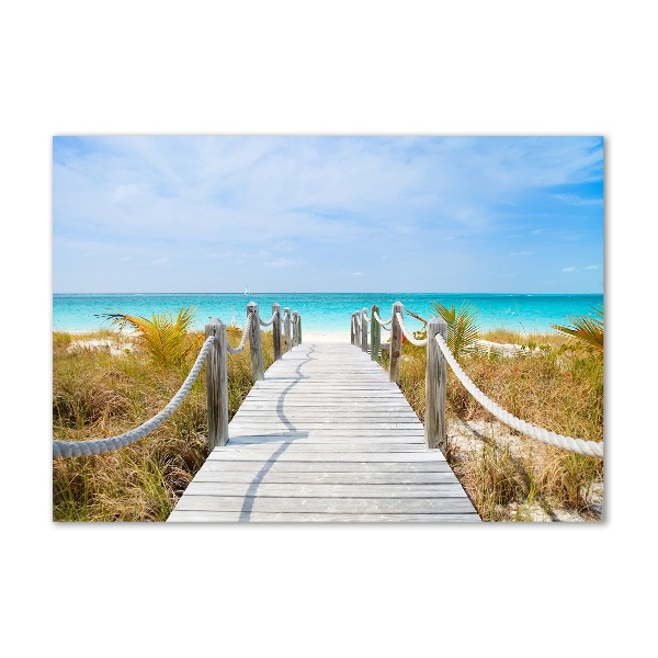 Foto in plexiglas Pad langs de zee