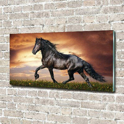 Foto op plexiglas Dravend paard