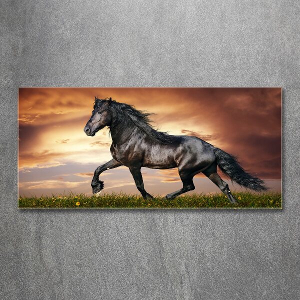 Foto op plexiglas Dravend paard
