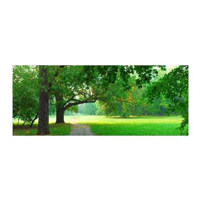 Plexiglas foto Park in de herfst