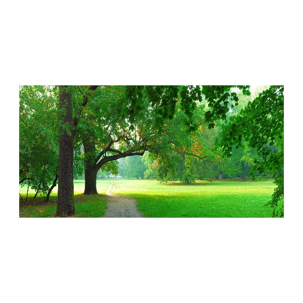 Plexiglas foto Park in de herfst