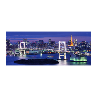 Plexiglas foto Tokyo-brug