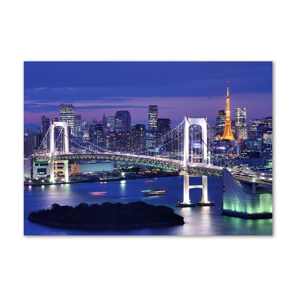 Plexiglas foto Tokyo-brug
