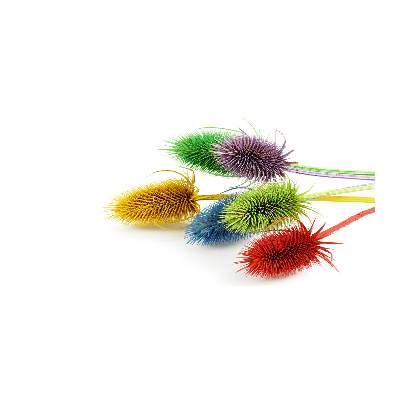 Foto in plexiglas Distel