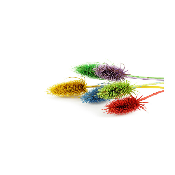 Foto in plexiglas Distel