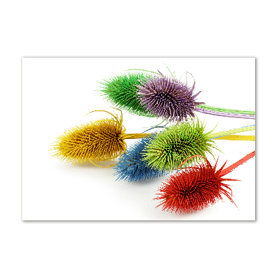 Foto in plexiglas Distel