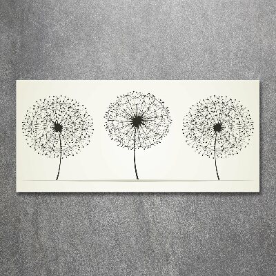 Plexiglas schilderij Paardenbloemen