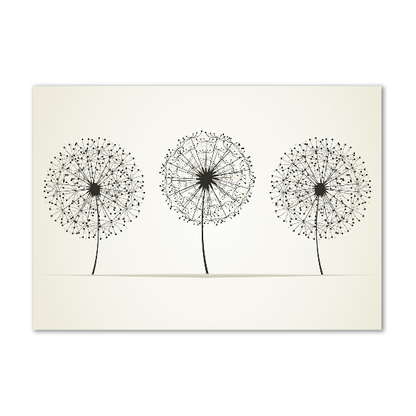 Plexiglas schilderij Paardenbloemen