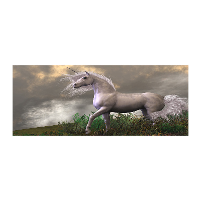 Foto in plexiglas Grijze eenhoorn