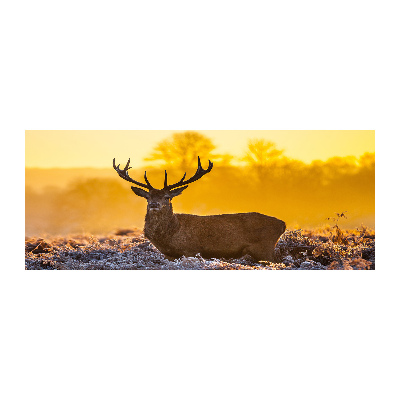 Schilderij op acrylglas Herten zonsopgang