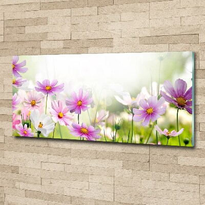 Foto plexiglas Bloemen in de weide