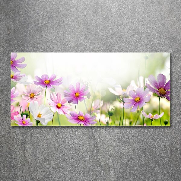 Foto plexiglas Bloemen in de weide