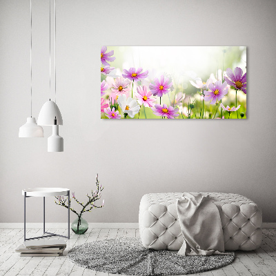 Foto plexiglas Bloemen in de weide