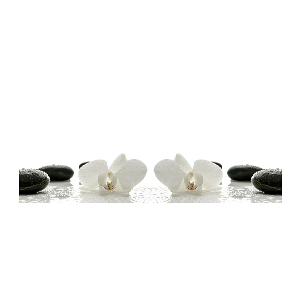 Foto in plexiglas Orchidee