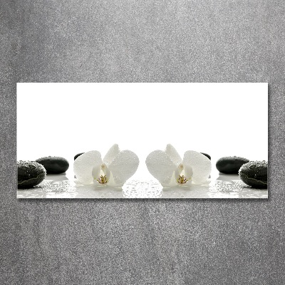 Foto in plexiglas Orchidee