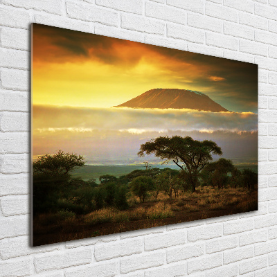 Schilderij op acrylglas Kilimanjaro Kenia