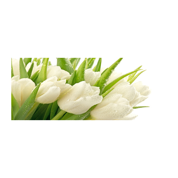 Schilderij op acrylglas Witte tulpen