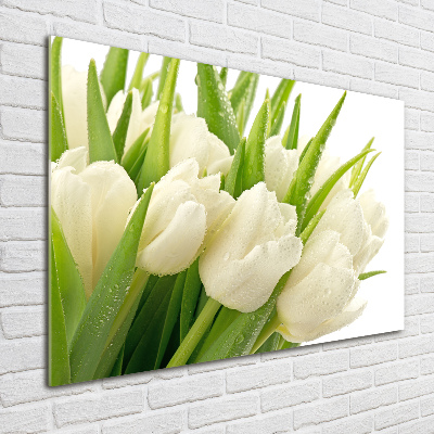 Schilderij op acrylglas Witte tulpen
