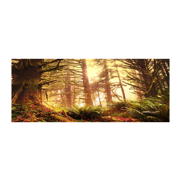 Plexiglas schilderij regenwoud