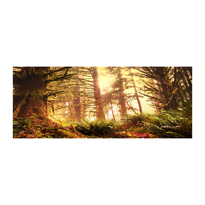 Plexiglas schilderij regenwoud