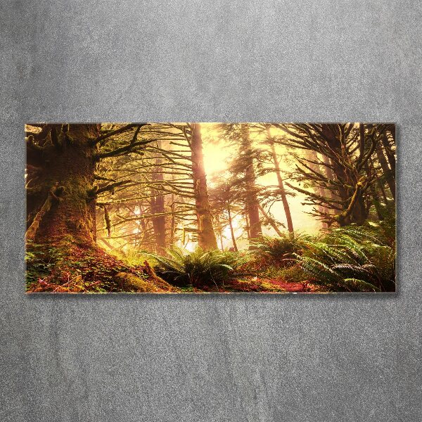 Plexiglas schilderij regenwoud