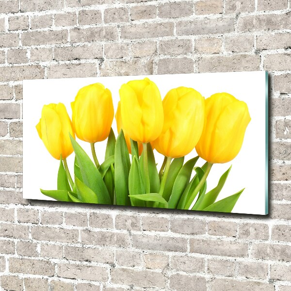 Foto op plexiglas Gele tulpen