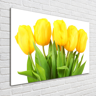 Foto op plexiglas Gele tulpen