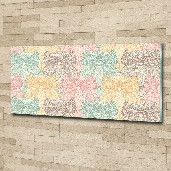 Plexiglas foto Uilen