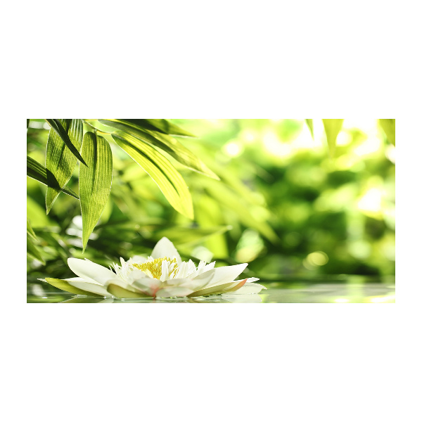 Foto plexiglas Waterlelie