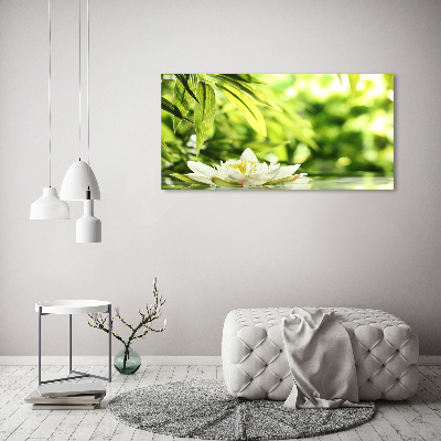 Foto plexiglas Waterlelie
