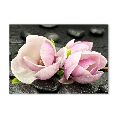 Plexiglas schilderij Magnolia zensteen