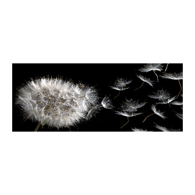 Foto op plexiglas Paardebloem