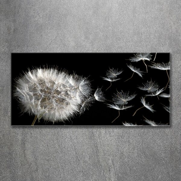 Foto op plexiglas Paardebloem