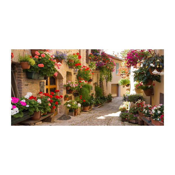 Foto op plexiglas Een charmante straat