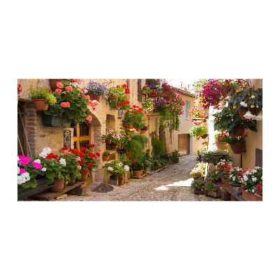 Foto op plexiglas Een charmante straat