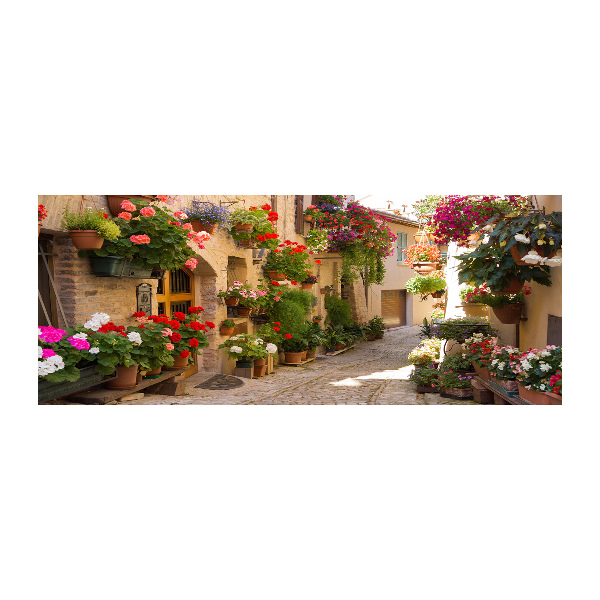 Foto op plexiglas Een charmante straat