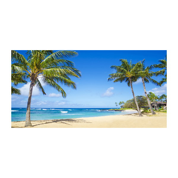 Plexiglas schilderij Tropisch strand