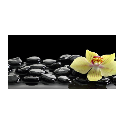 Plexiglas schilderij Orchidee