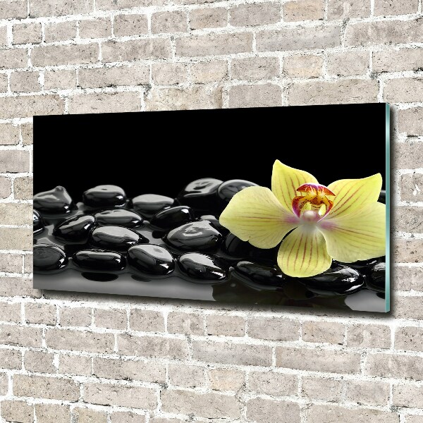 Plexiglas schilderij Orchidee