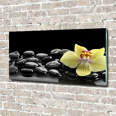 Plexiglas schilderij Orchidee