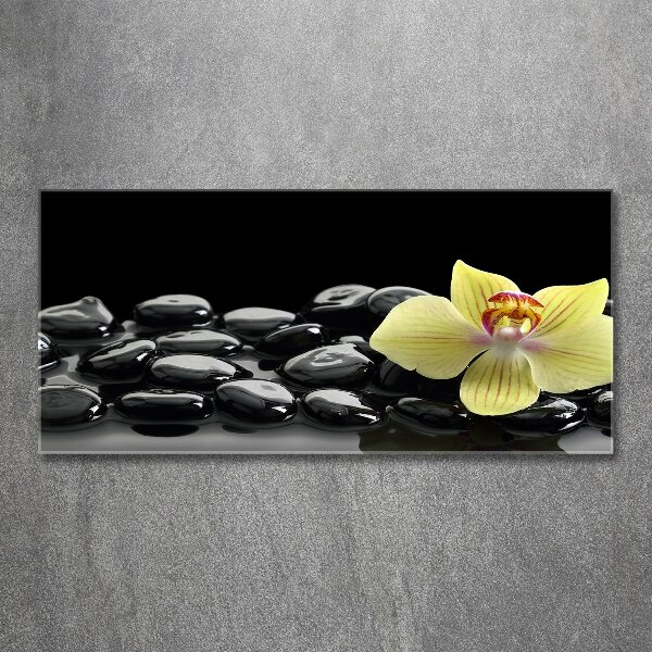 Plexiglas schilderij Orchidee