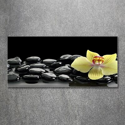 Plexiglas schilderij Orchidee