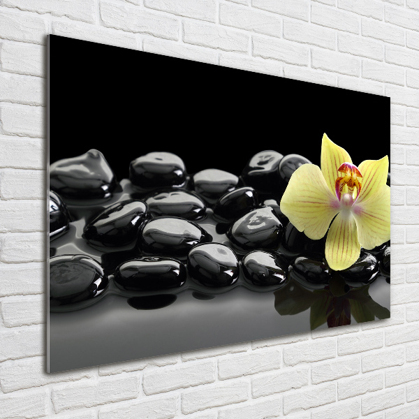 Plexiglas schilderij Orchidee