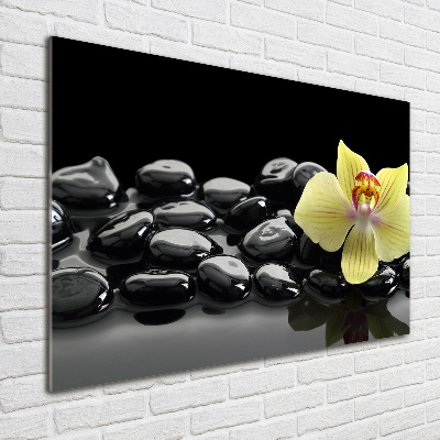 Plexiglas schilderij Orchidee