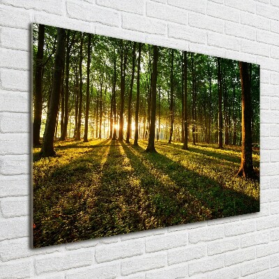 Foto op plexiglas Zonnestralen