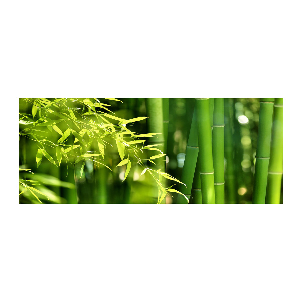 Foto op plexiglas Bamboe
