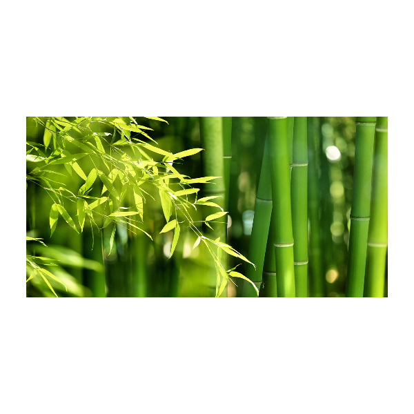 Foto op plexiglas Bamboe