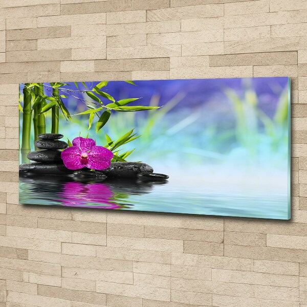 Plexiglas foto Bamboe-orchidee
